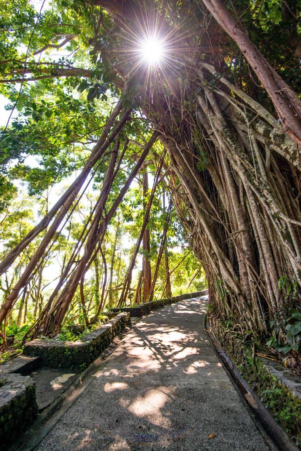 Palau Carolines Resort Koror Ngoại thất bức ảnh